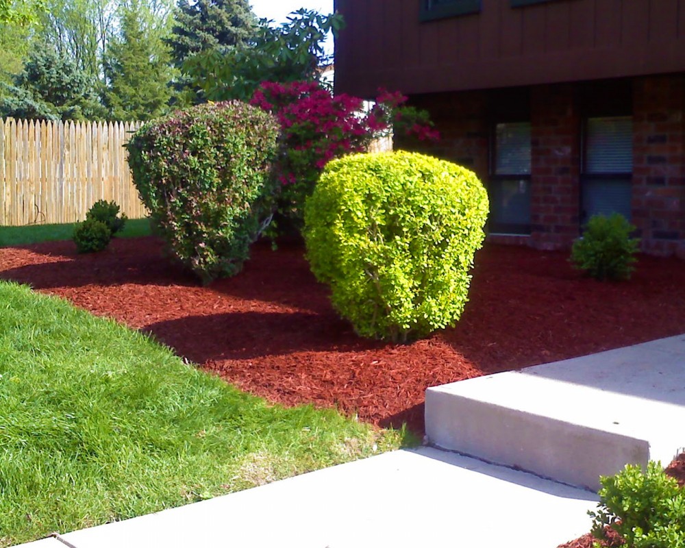 Topdressing and Garden
