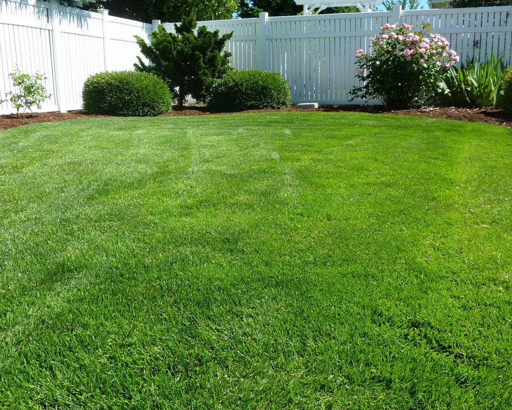 Lawn