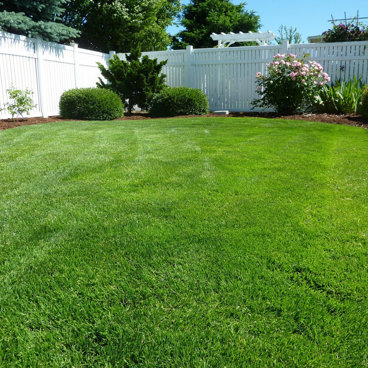 Lawn