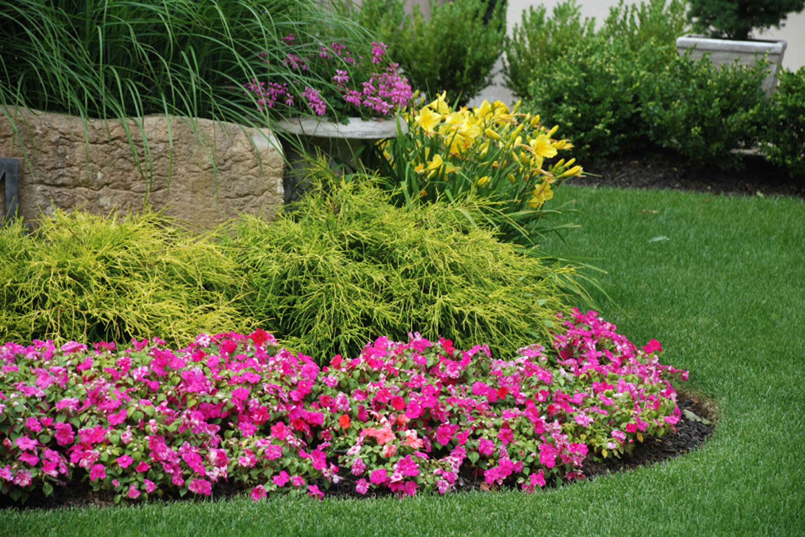 Jardin